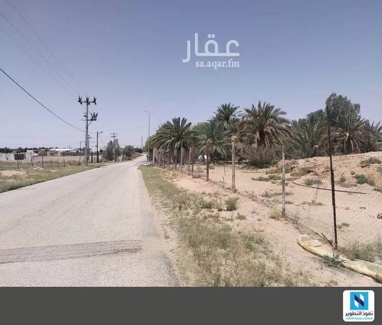 مزرعة للإيجار في شارع المجد 9, حي المجد, مدينة البكيرية, منطقة القصيم صورة 5