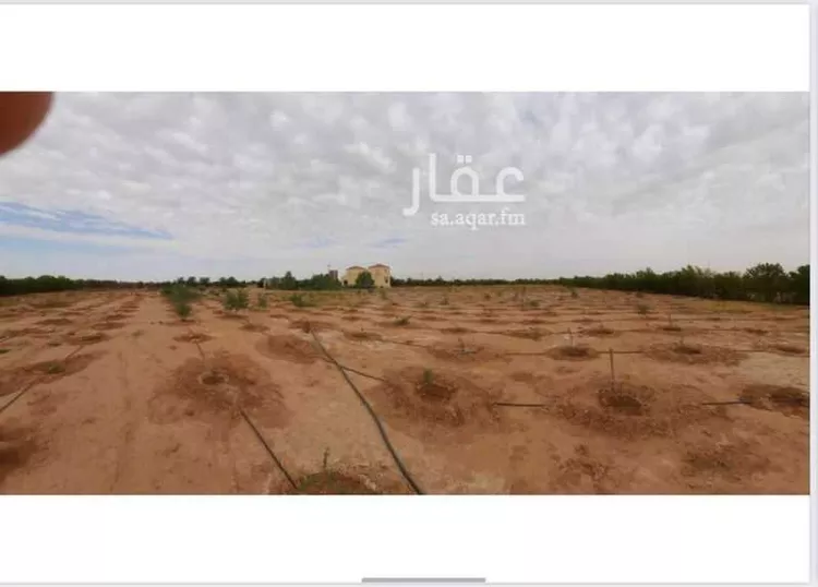 مزرعة للبيع في مدينة الجله, منطقة الرياض صورة 4