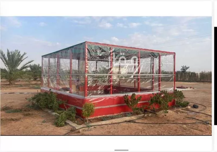 مزرعة للبيع في حي الجديده, مدينة المزاحمية - الجديده, منطقة الرياض صورة 4