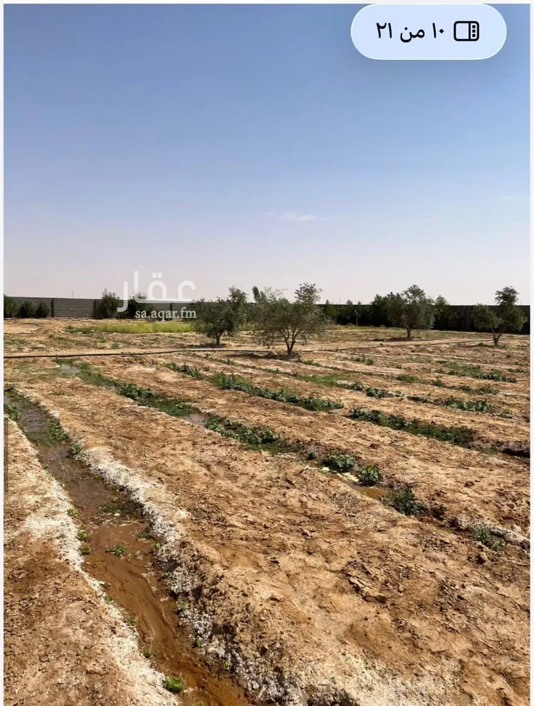 مزرعة للبيع في حي مخطط رقم 0941, مدينة الجلة, منطقة الرياض صورة 2