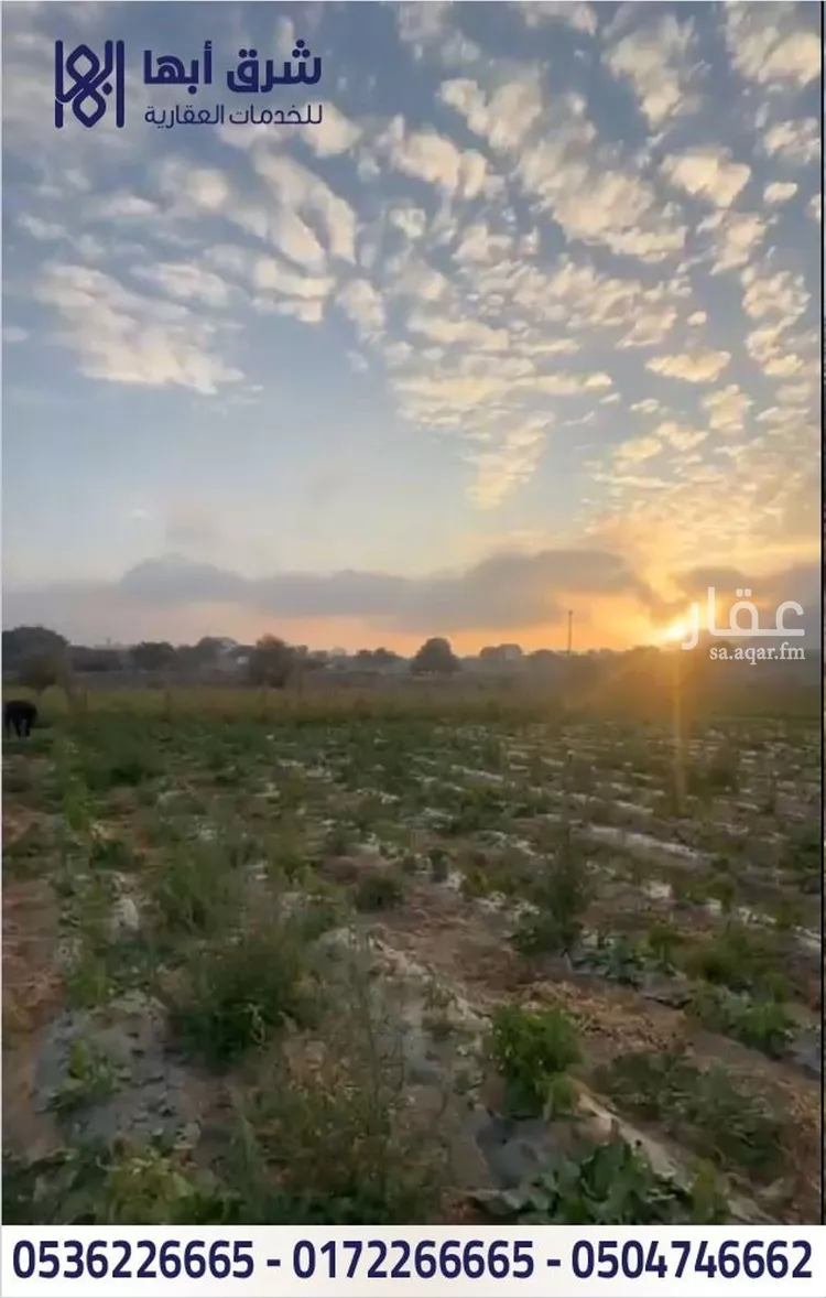 أرض للبيع في شارع ابي سلمة بن عبدالاس, حي النسيم, مدينة تنومة, منطقة عسير