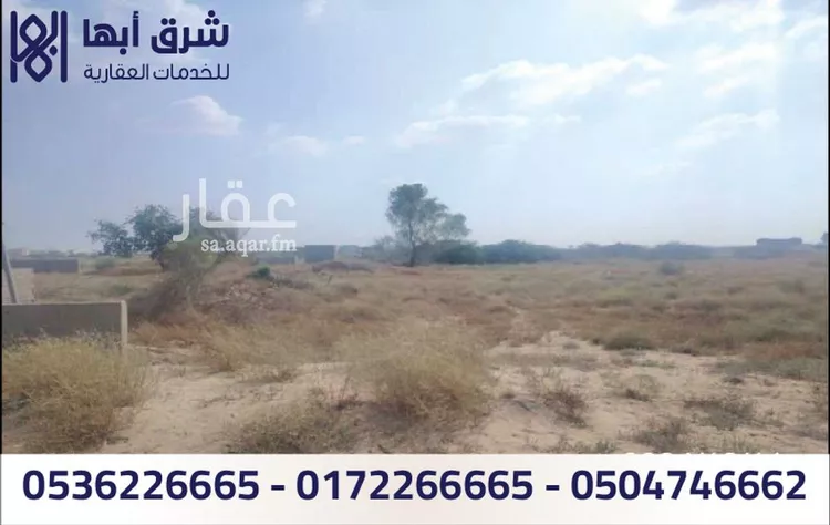 أرض للبيع في شارع الخالدية 57 ، حي الخالدية ، بيش ، بيش صورة 4