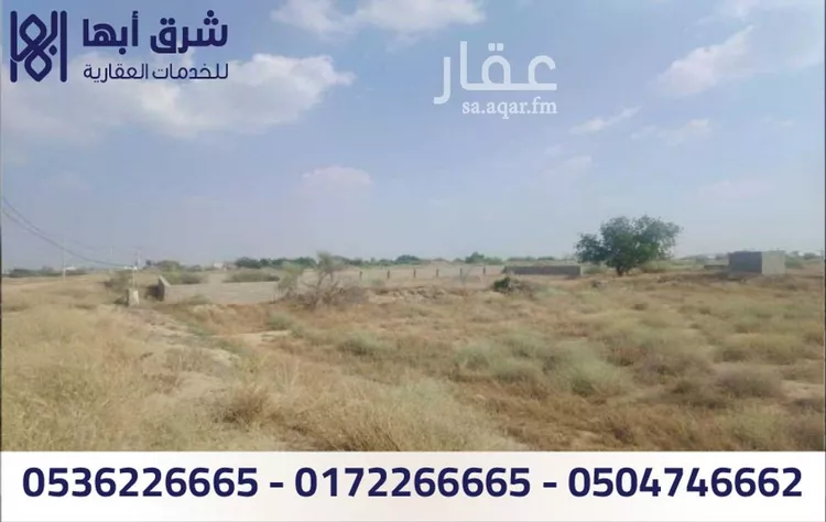 أرض للبيع في شارع الخالدية 57 ، حي الخالدية ، بيش ، بيش صورة 5