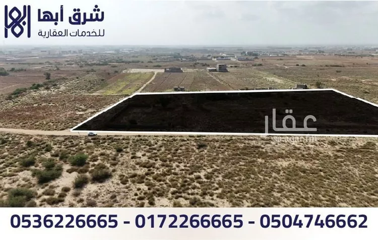 مزرعة للبيع في شارع جه الريف من معمال بيش, حي الخالدية, مدينة بيش, منطقة جازان صورة 2