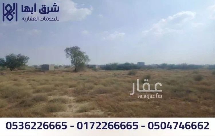 مزرعة للبيع في شارع جه الريف من معمال بيش, حي الخالدية, مدينة بيش, منطقة جازان صورة 5