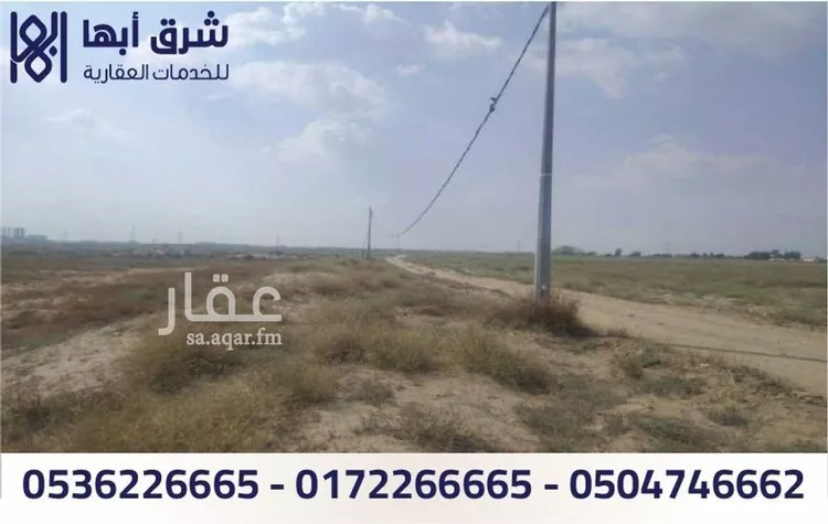 مزرعة للبيع في شارع جه الريف من معمال بيش, حي الخالدية, مدينة بيش, منطقة جازان صورة 3