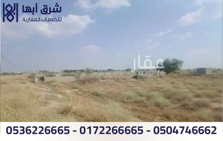 مزرعة للبيع في شارع جه الريف من معمال بيش, حي الخالدية, مدينة بيش, منطقة جازان صورة 4