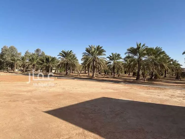 مزرعة للبيع في شارع  عودة سدير, حي مزارع وادي وراط, مدينة مزارع وادي وراط, منطقة الرياض 7