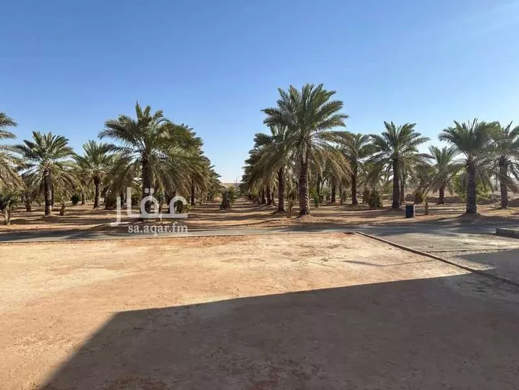 مزرعة للبيع في شارع عودة سدير, حي مزارع وادي وراط, مدينة مزارع وادي وراط, منطقة الرياض صورة 2
