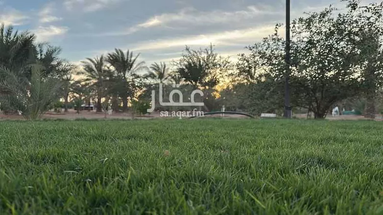 مزرعة للبيع في شارع عودة سدير, حي مزارع وادي وراط, مدينة مزارع وادي وراط, منطقة الرياض صورة 3