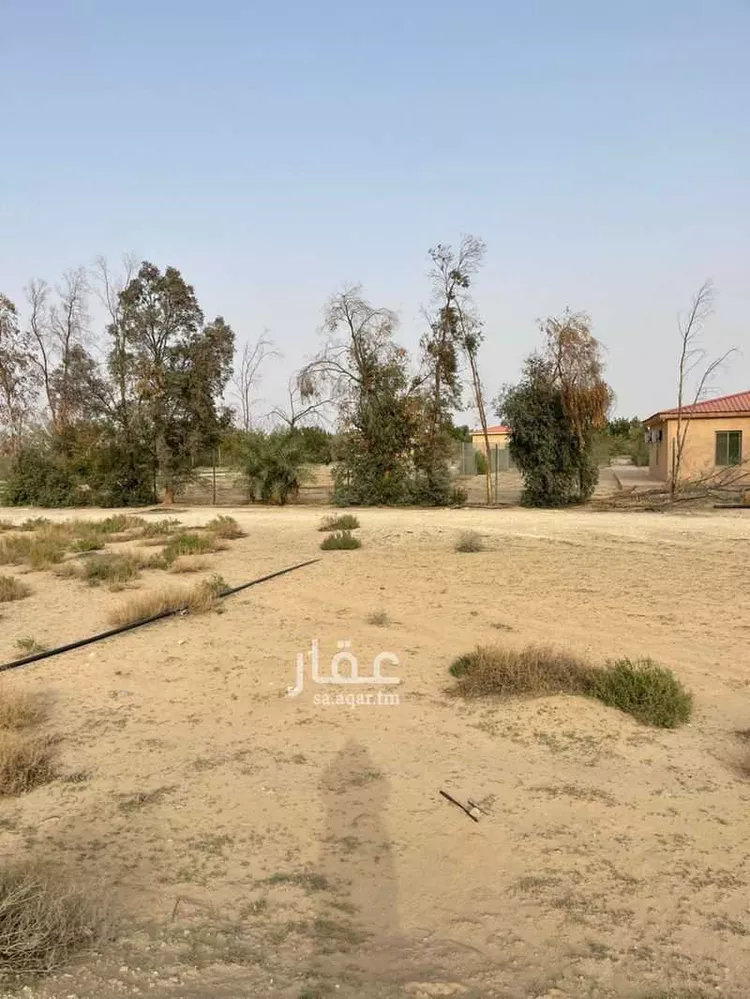 مزرعة للبيع في مدينة الحناه, المنطقة الشرقية صورة 2