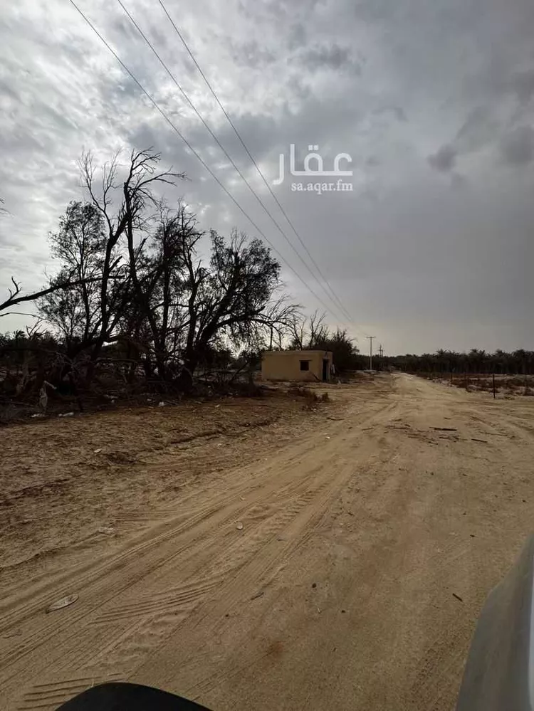 مزرعة للبيع في شارع العام , مدينة الحناه, المنطقة الشرقية