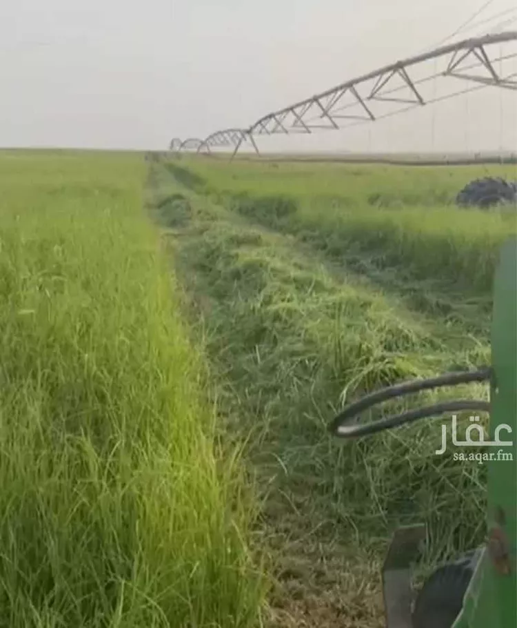 مزرعة للبيع في حي ثاج, مدينة ثاج, المنطقة الشرقية صورة 2