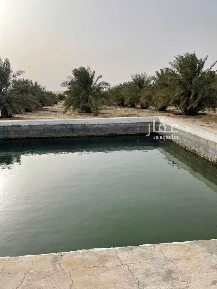 مزرعة للبيع في مدينة الحناه, المنطقة الشرقية صورة 3