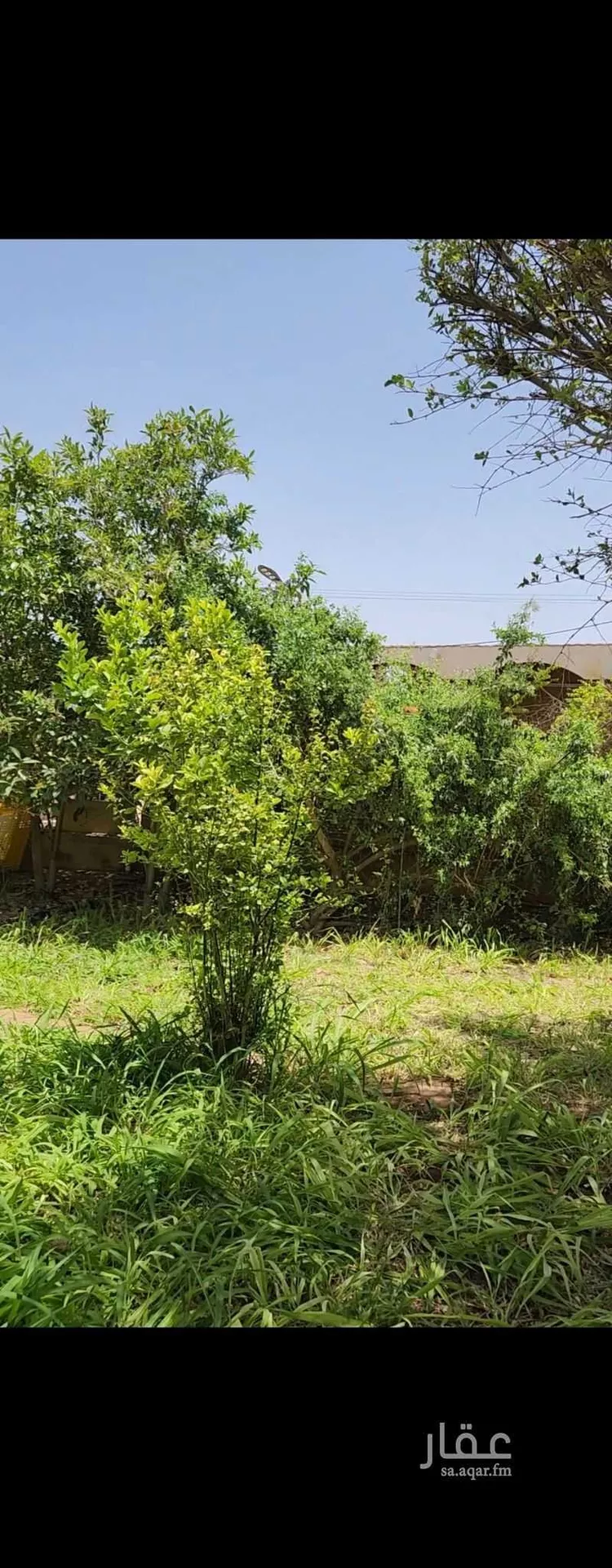 Rest House for Rent in Thadiq Ad Deerah Al Kadimah 9