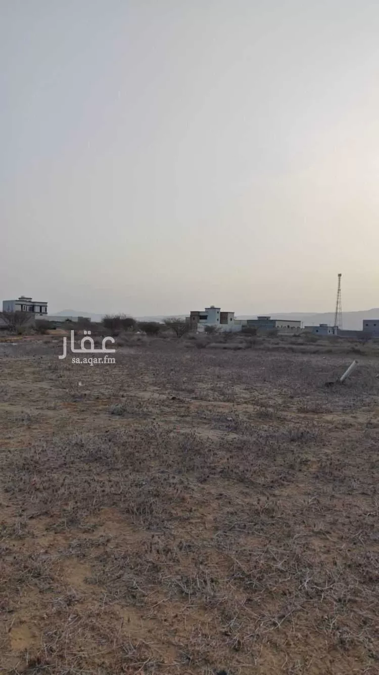 أرض للبيع في شارع لا يوجد اسم , حي لحج الكلاب, مدينة لحج الكلاب, منطقة جازان صورة 5
