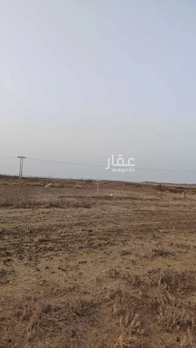 أرض للبيع في شارع لا يوجد اسم , حي لحج الكلاب, مدينة لحج الكلاب, منطقة جازان صورة 4