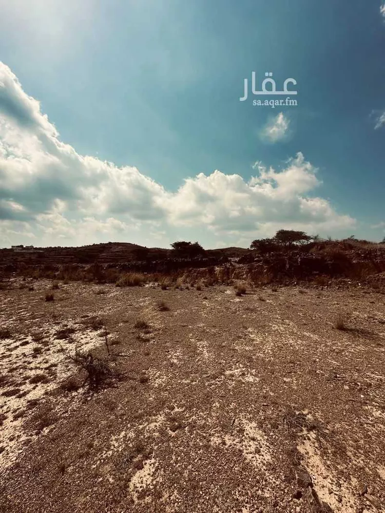 أرض للبيع في شارع 238 الباحة, حي الباحة, مدينة أبها, منطقة عسير 6
