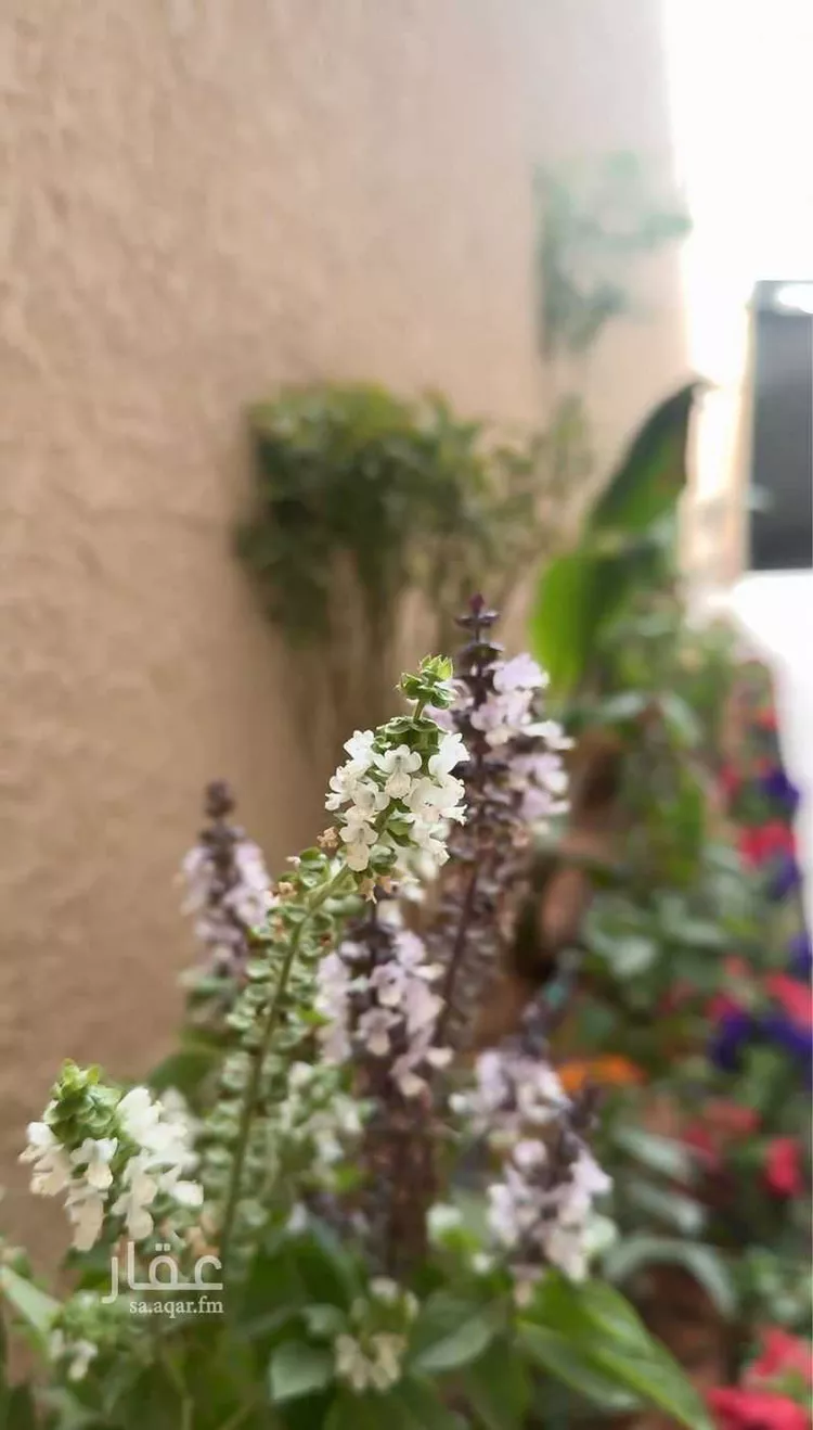 Floor for Sale in Riyadh King Fahd صورة 2