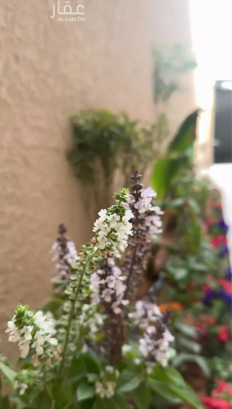 دور للبيع في شارع  محمد ابن ابراهيم ابن جبير, حي الملك فهد, مدينة الرياض, منطقة الرياض صورة 4