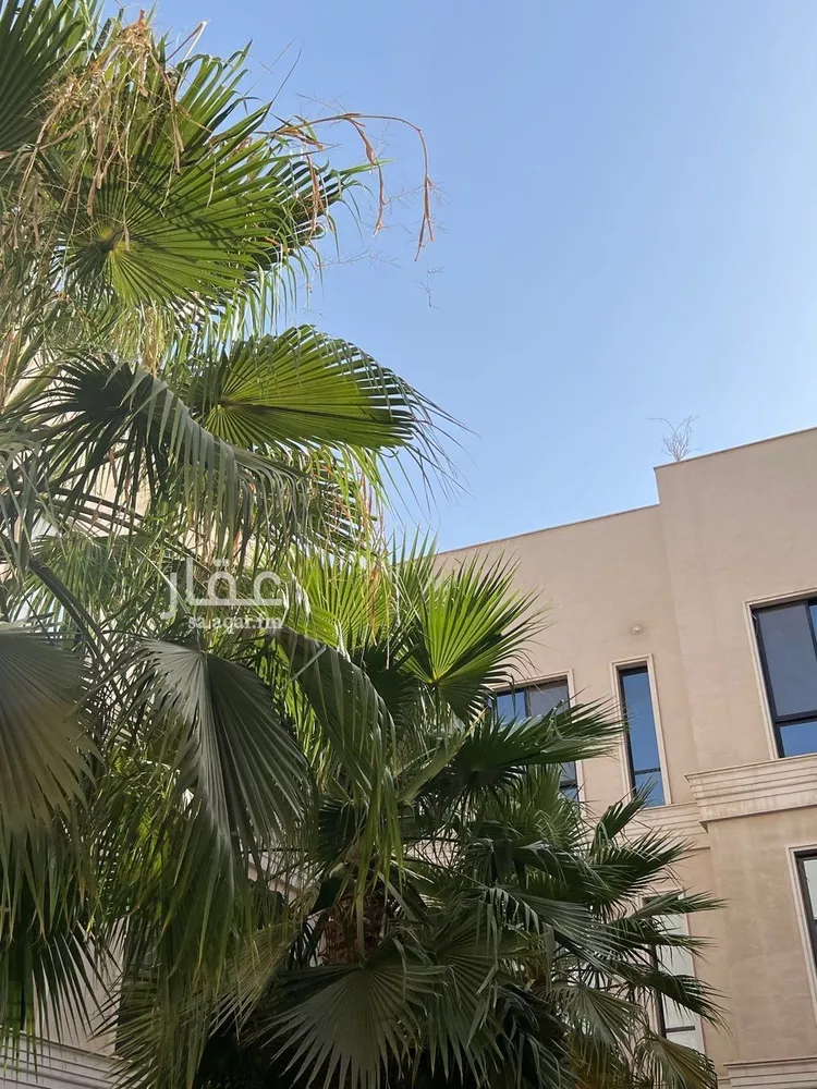 شقة للإيجار في شارع الامير سلطان ابن عبدالعزيز, حي المعذر الشمالي, مدينة الرياض, منطقة الرياض صورة 4