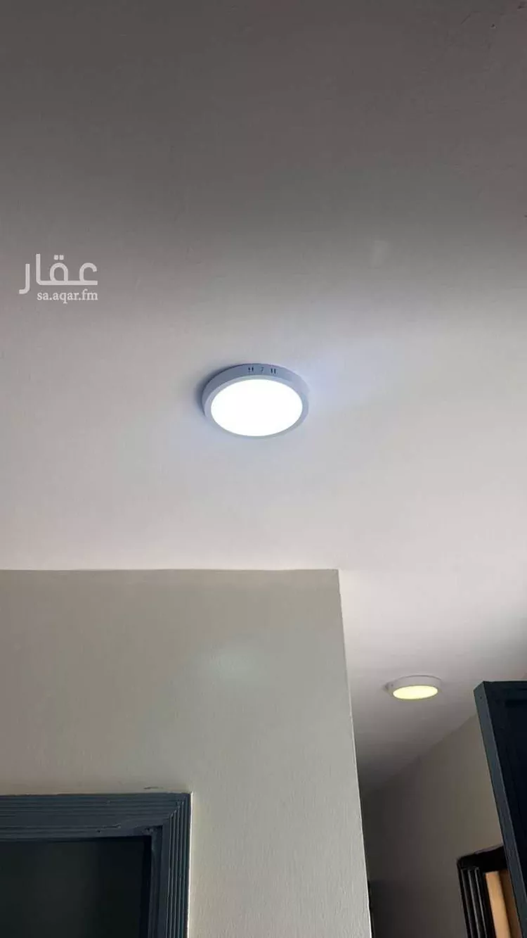 عمارة للإيجار في شارع أبي ذر الغفاري, حي الربوة, مدينة الرياض, منطقة الرياض صورة 4