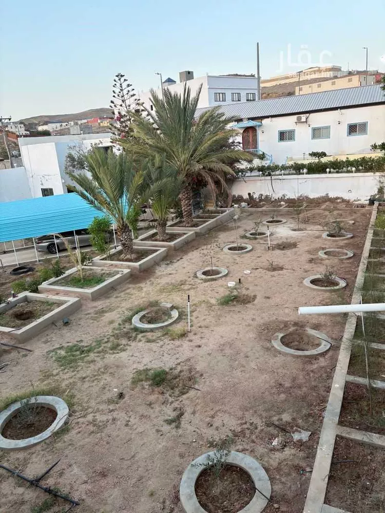 استراحة للبيع في استراحة العثمان ، حي الرحاب ، الطائف ، الطائف صورة 2