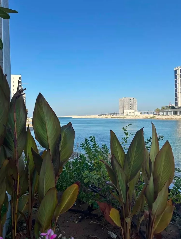 Apartment for Rent in Al Khobar Al Khour 15