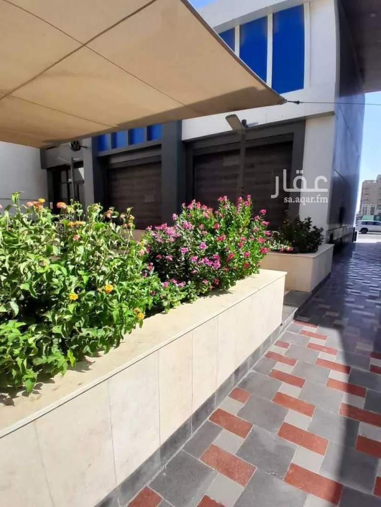 محل للإيجار في شارع 21987353, حي الحمدانية, مدينة جدة, منطقة مكة المكرمة