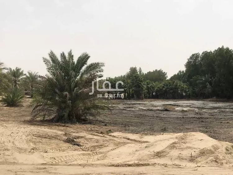 أرض للبيع في شارع طريق ابو حدرية, مدينة الجبيل, المنطقة الشرقية صورة 2