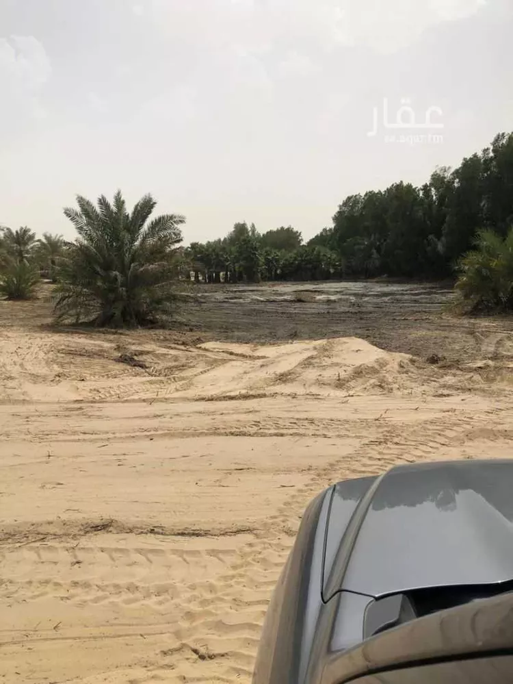 أرض للبيع في شارع طريق ابو حدرية, مدينة الجبيل, المنطقة الشرقية صورة 4