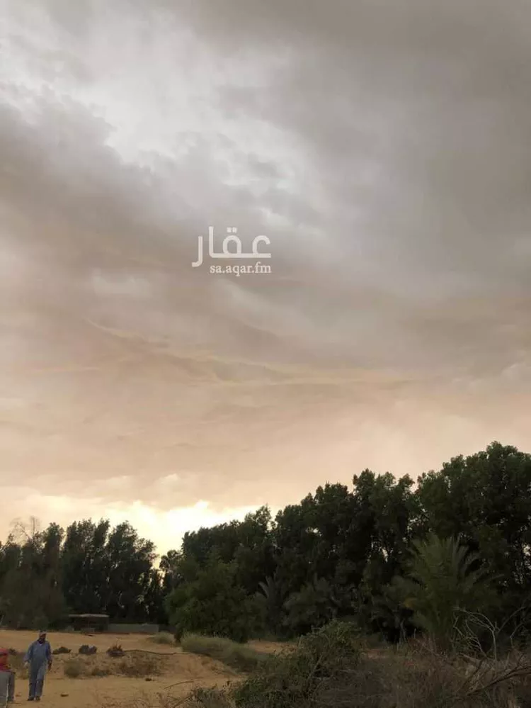 أرض للبيع في شارع طريق ابو حدرية, مدينة الجبيل, المنطقة الشرقية صورة 5