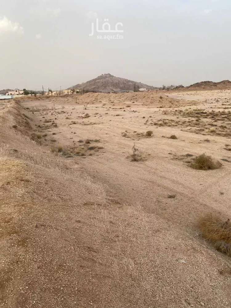 مزرعة للبيع في مدينة الحصاد, منطقة عسير صورة 2