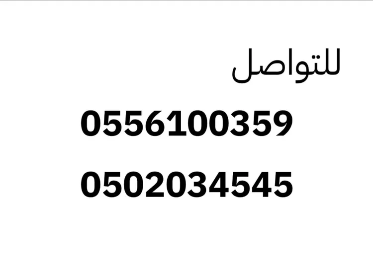 شقة للإيجار في شارع محمد زهر, حي الأندلس, مدينة الرياض, منطقة الرياض