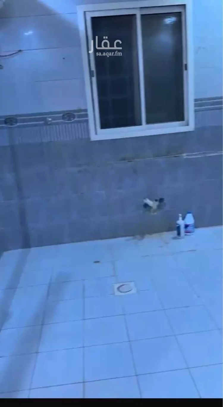 شقة للإيجار في شارع أحمد بن محمد بن دلة, حي السعادة, مدينة الرياض, منطقة الرياض صورة 2