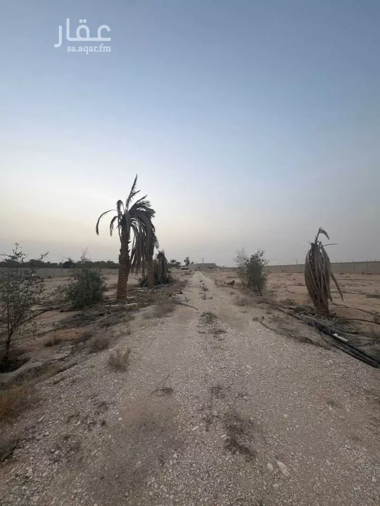 أرض للبيع في شارع العمارية, حي مزارع وادى العماريه, مدينة مزارع وادى العماريه, منطقة الرياض