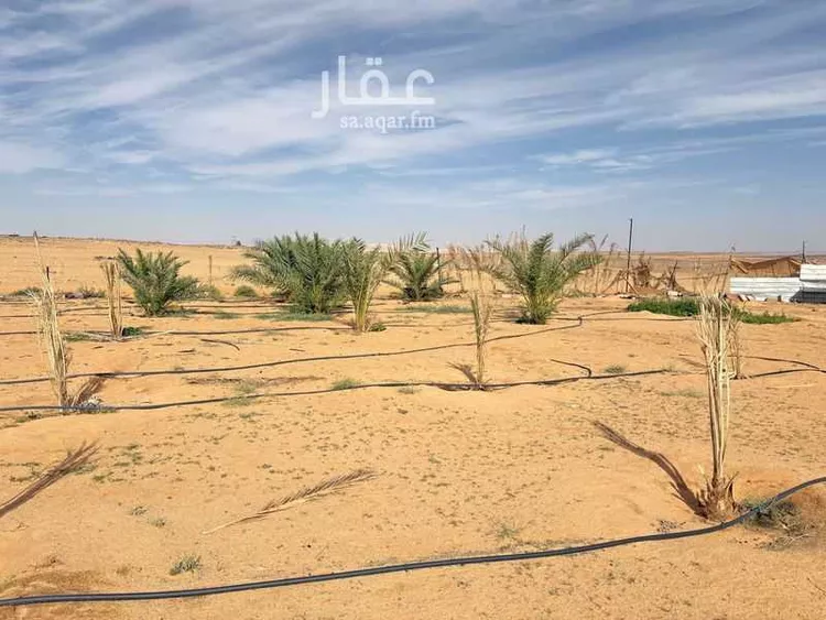 Rest House for Sale in Tayma Haddaj صورة 3