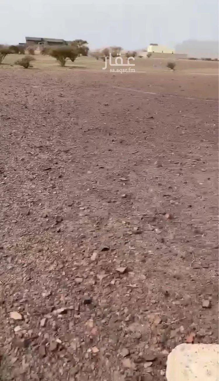 أرض للبيع في شارع إبراهيم السبعان, حي الصويدرة, مدينة المدينة المنورة, منطقة المدينة المنورة