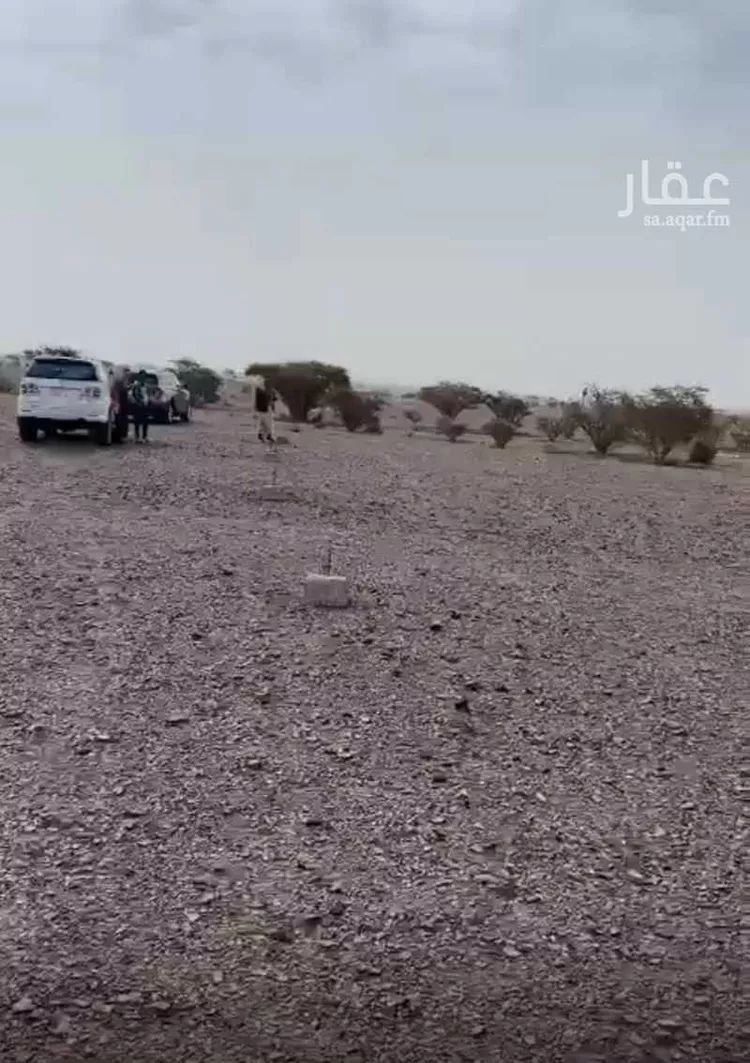 أرض للبيع في شارع إبراهيم السبعان, حي الصويدرة, مدينة المدينة المنورة, منطقة المدينة المنورة صورة 2