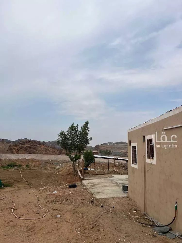 مزرعة للبيع في حي القهيب, مدينة امارة منطقة مكة المكرمة - الطائف, منطقة مكة المكرمة 7