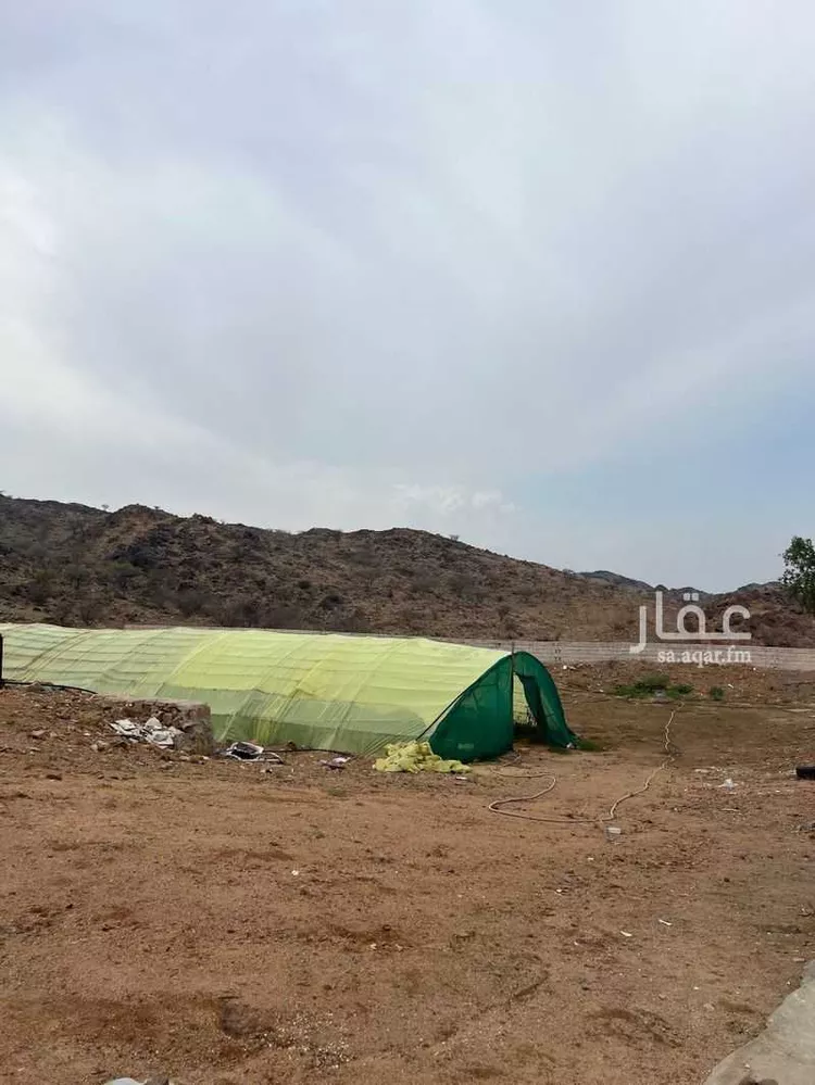 مزرعة للبيع في شارع القهيب 305 ، حي القهيب ، الطائف ، الطائف صورة 2