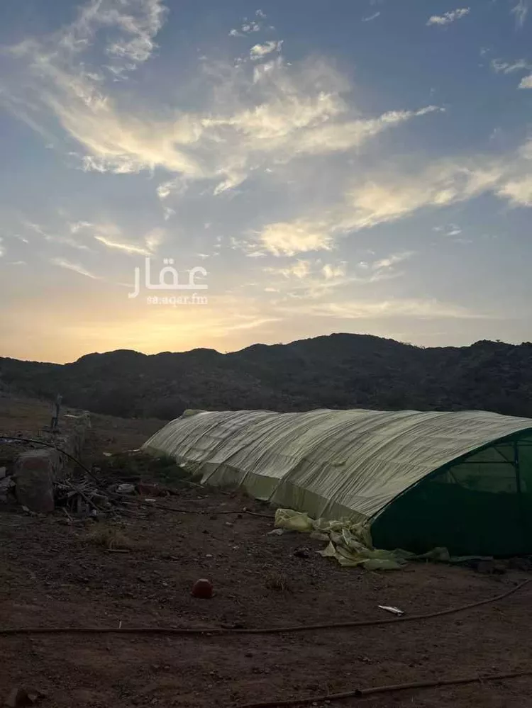 مزرعة للبيع في حي القهيب, مدينة امارة منطقة مكة المكرمة - الطائف, منطقة مكة المكرمة 19