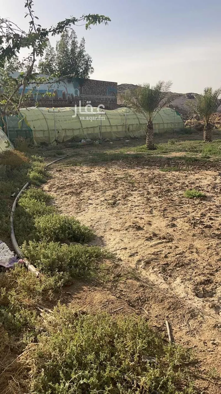 مزرعة للبيع في حي القهيب, مدينة امارة منطقة مكة المكرمة - الطائف, منطقة مكة المكرمة 18