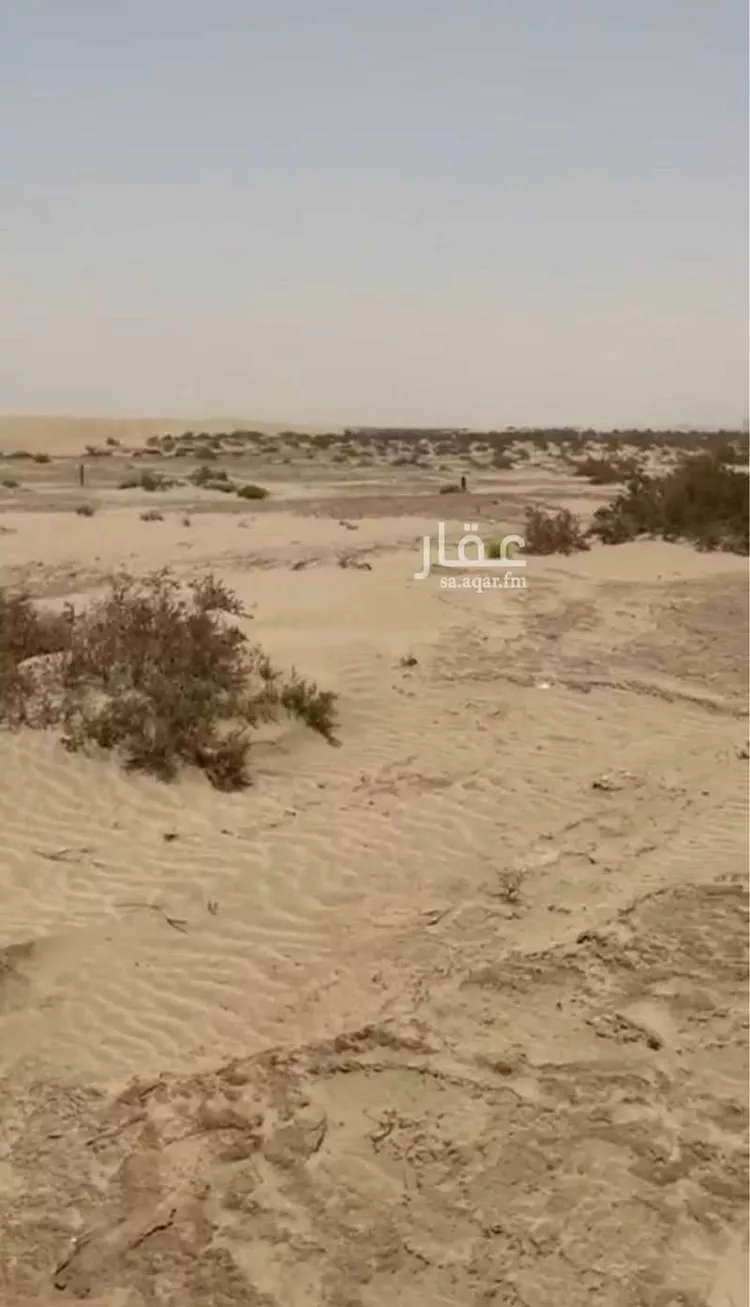 أرض للبيع في القنفذة صورة 3