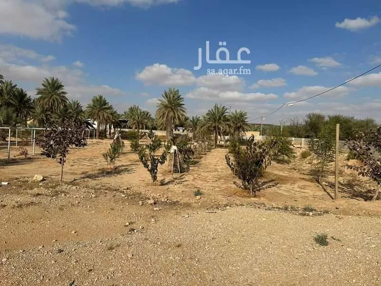 مزرعة للبيع في شارع هشام بن العاص, مدينة حريملاء, منطقة الرياض صورة 5