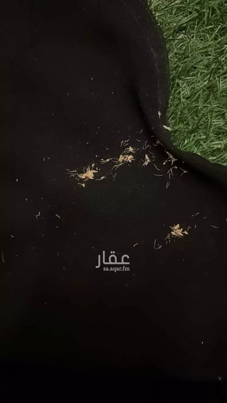 شقة للإيجار في شارع أبو قتادة الأنصاري ، حي المروة ، جدة ، جدة صورة 5
