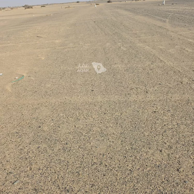 أرض للبيع في حي الجزيرة, مدينة جدة, منطقة مكة المكرمة 2