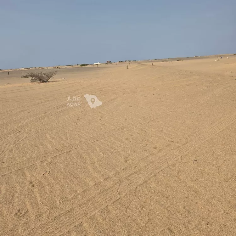 أرض للبيع في حي الجزيرة, مدينة جدة, منطقة مكة المكرمة 10