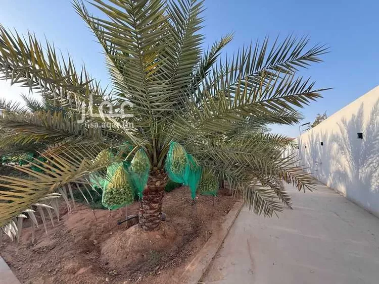 استراحة للبيع في شارع قريه ديراب 100, حي مزارع ديراب, مدينة مزارع ديراب, منطقة الرياض 16