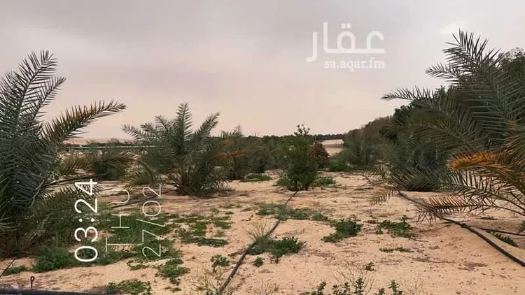 مزرعة للبيع في حي السديره, مدينة السديره, المنطقة الشرقية صورة 5